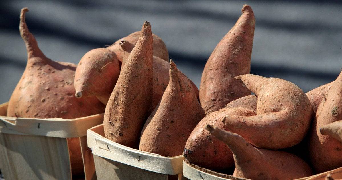 7 najboljih supernamirnica za zdrav imunološki sustav